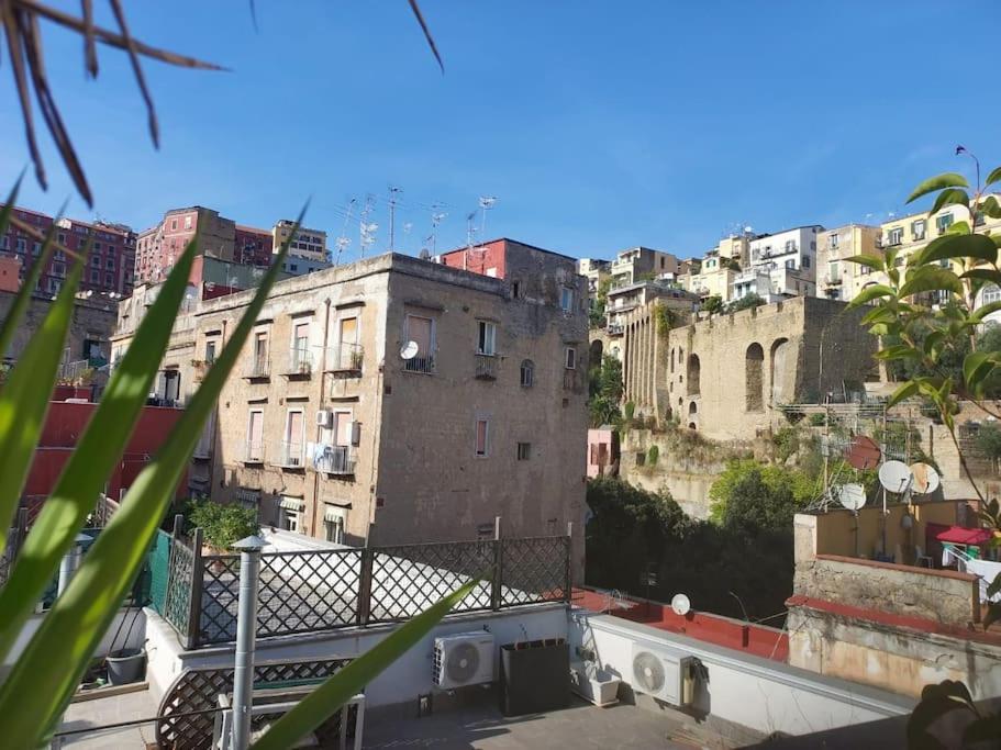 Ventaglieri Panoramic Rooftop In The Historic Center Appartamento Napoli